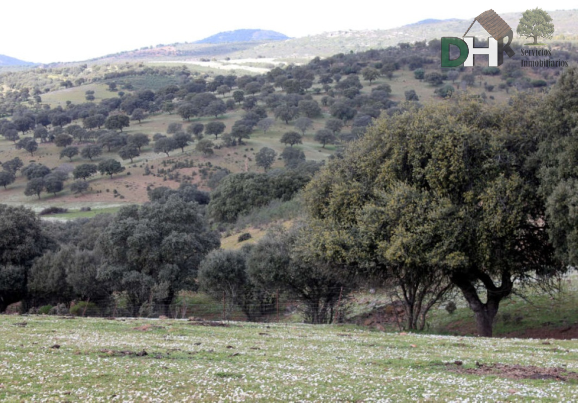 Venta de terreno en Badajoz