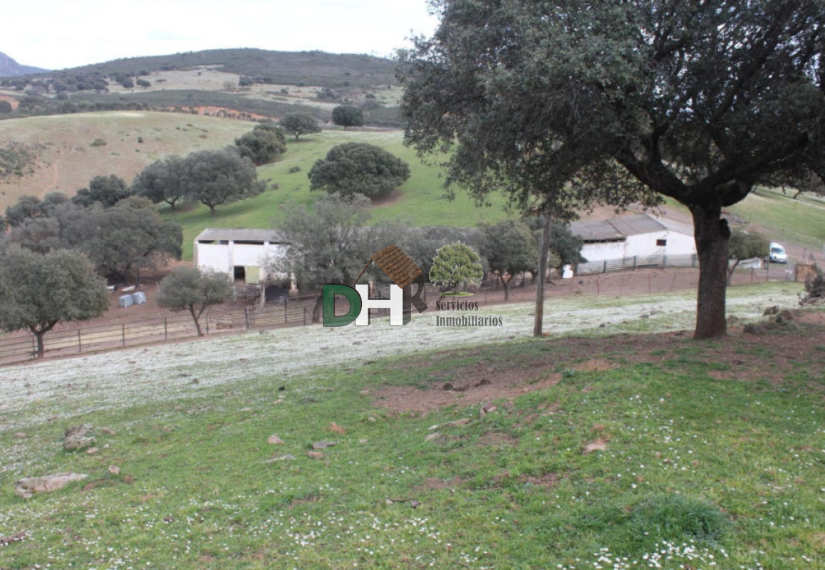 For sale of land in Badajoz