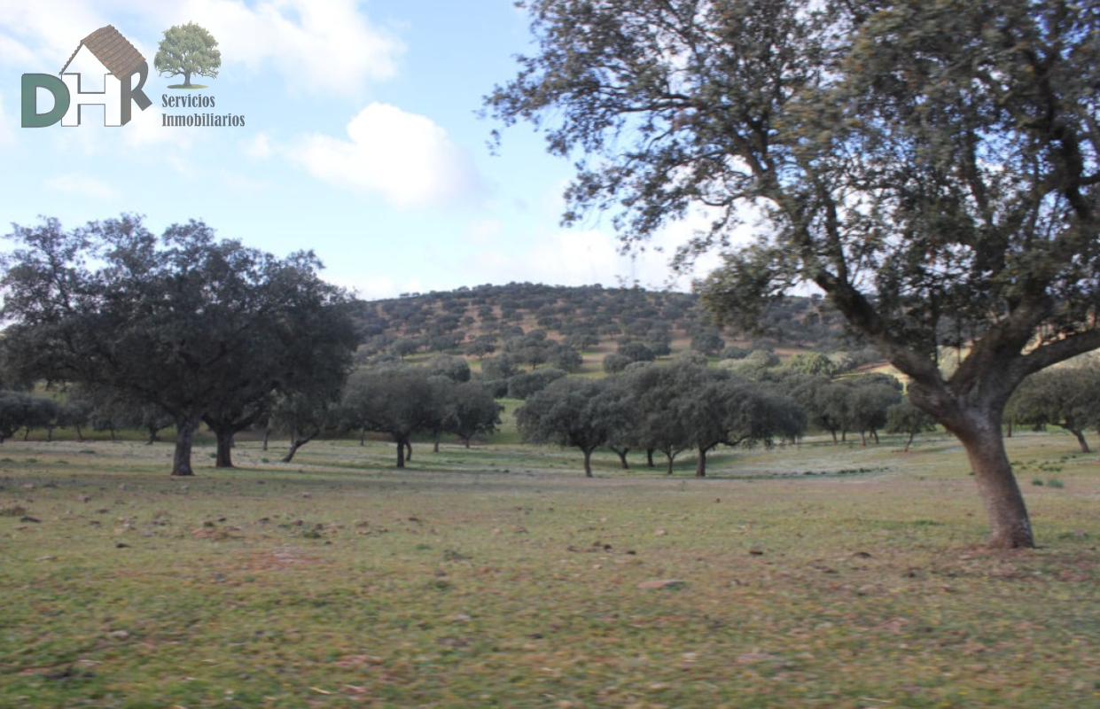 Venta de terreno en Badajoz