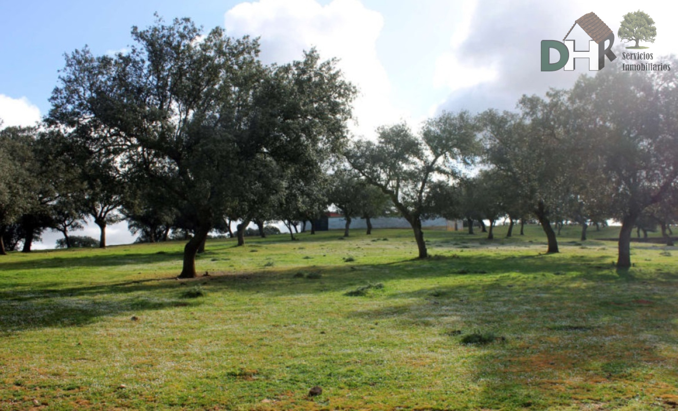 Venta de terreno en Badajoz