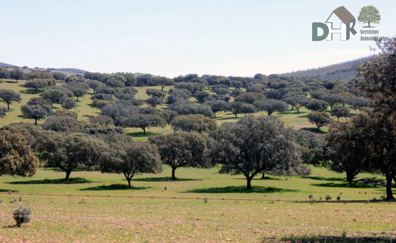 Venta de terreno en Badajoz