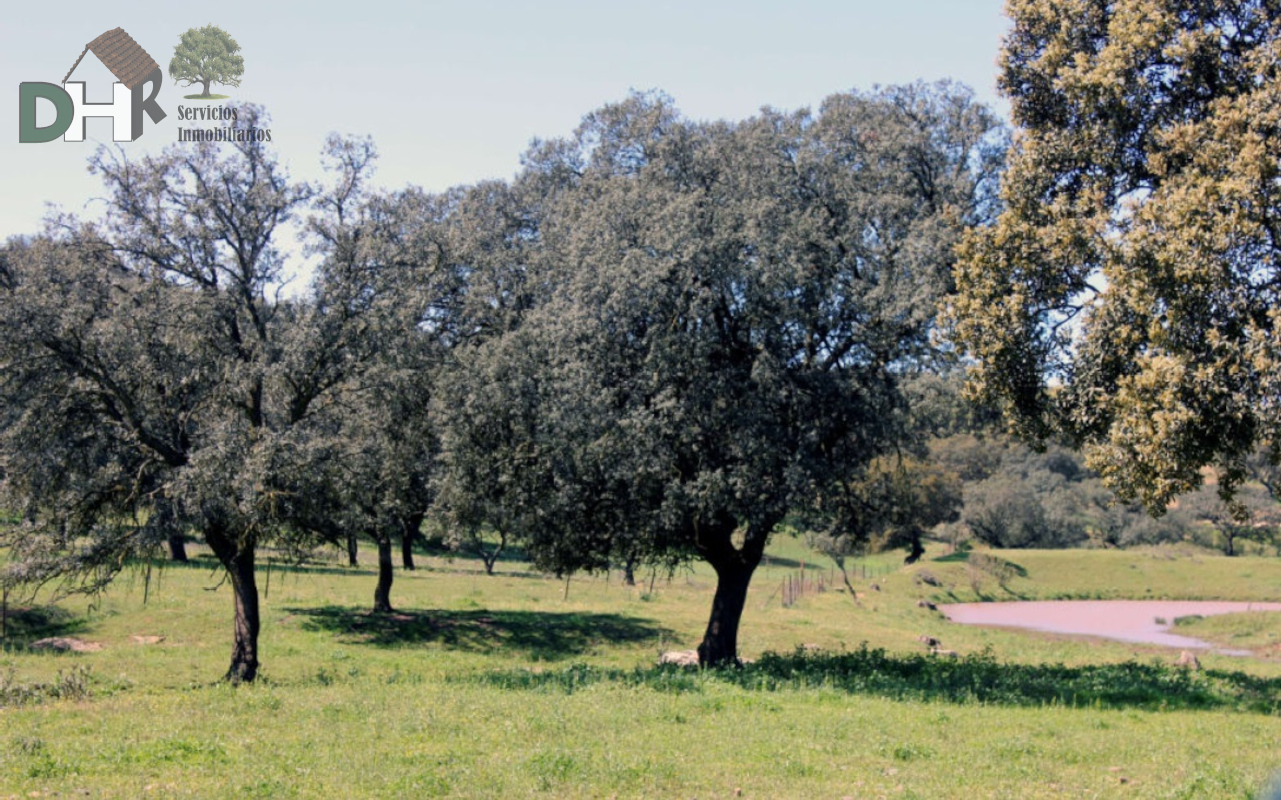 Venta de terreno en Badajoz