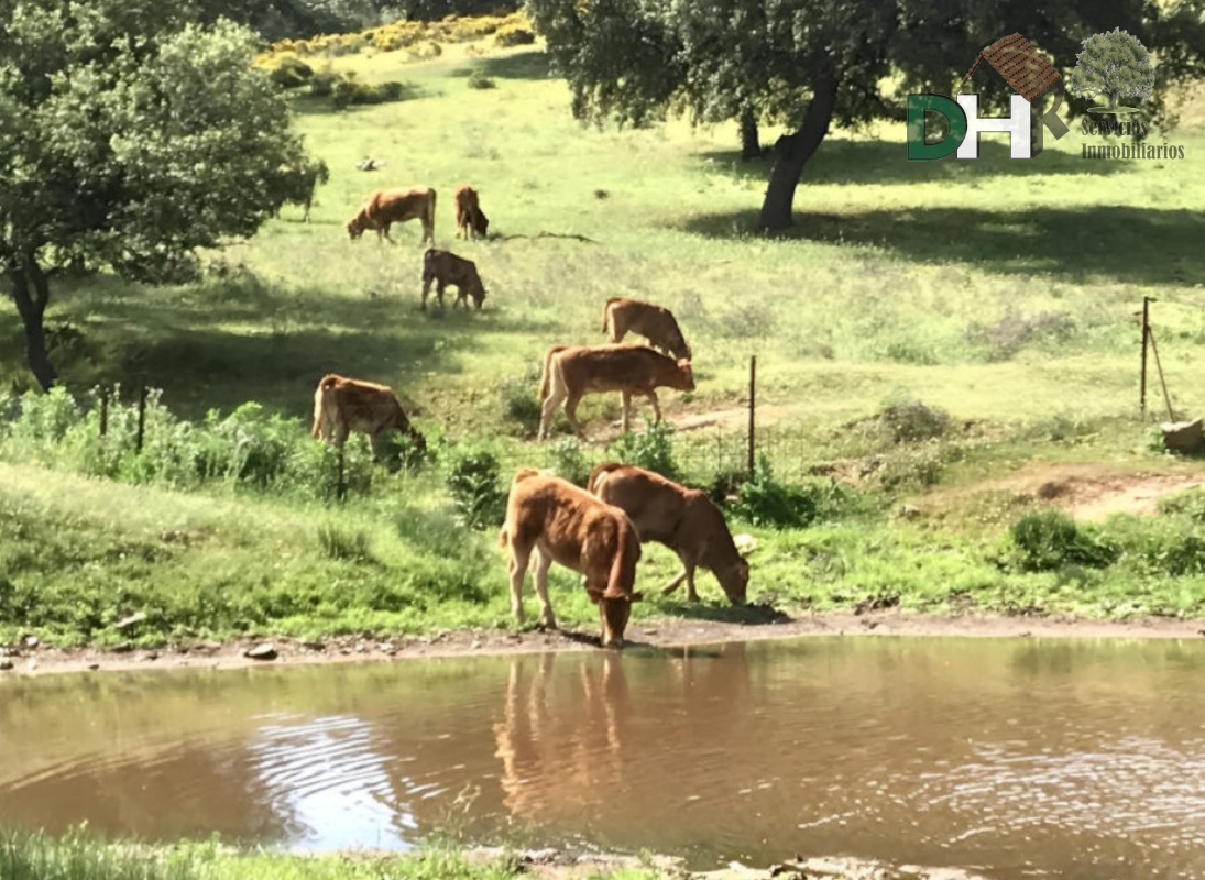 Venta de terreno en Badajoz