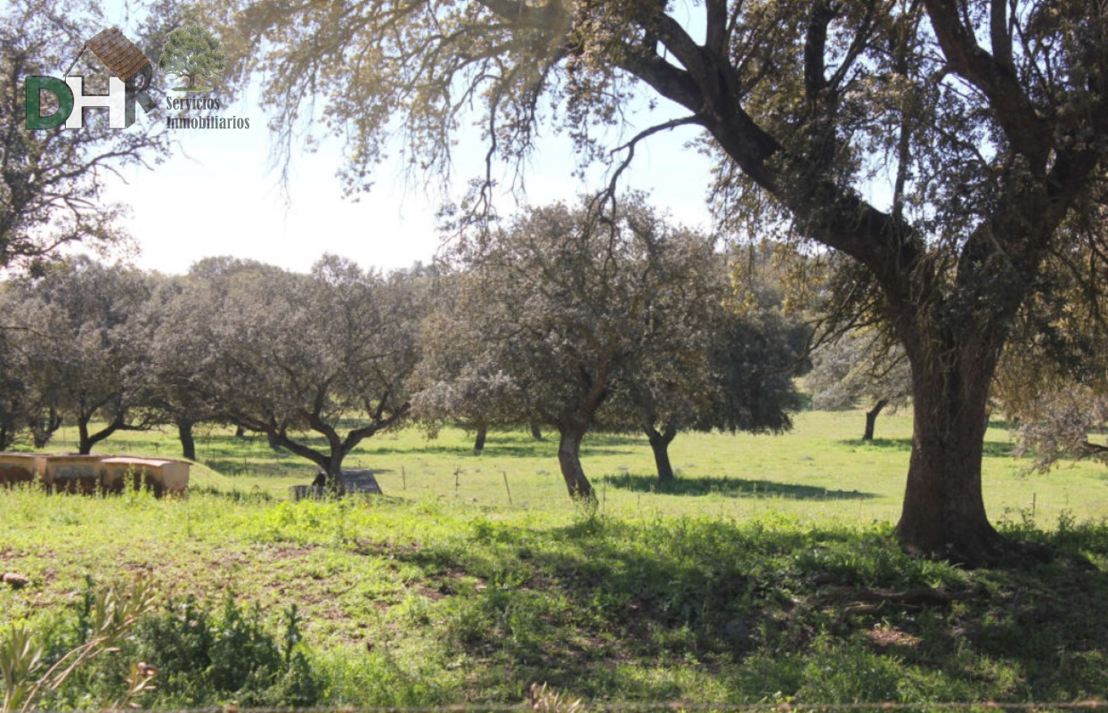 For sale of land in Badajoz