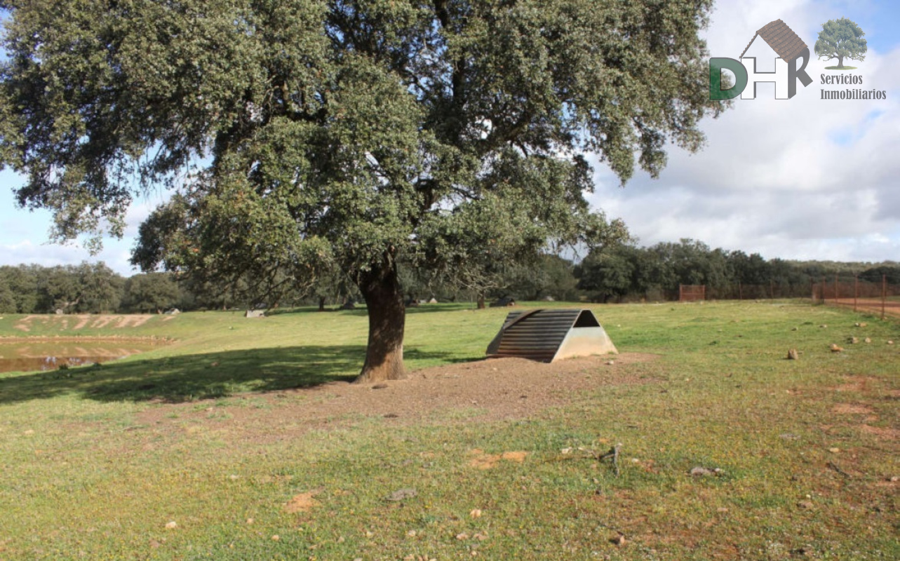 Venta de terreno en Badajoz