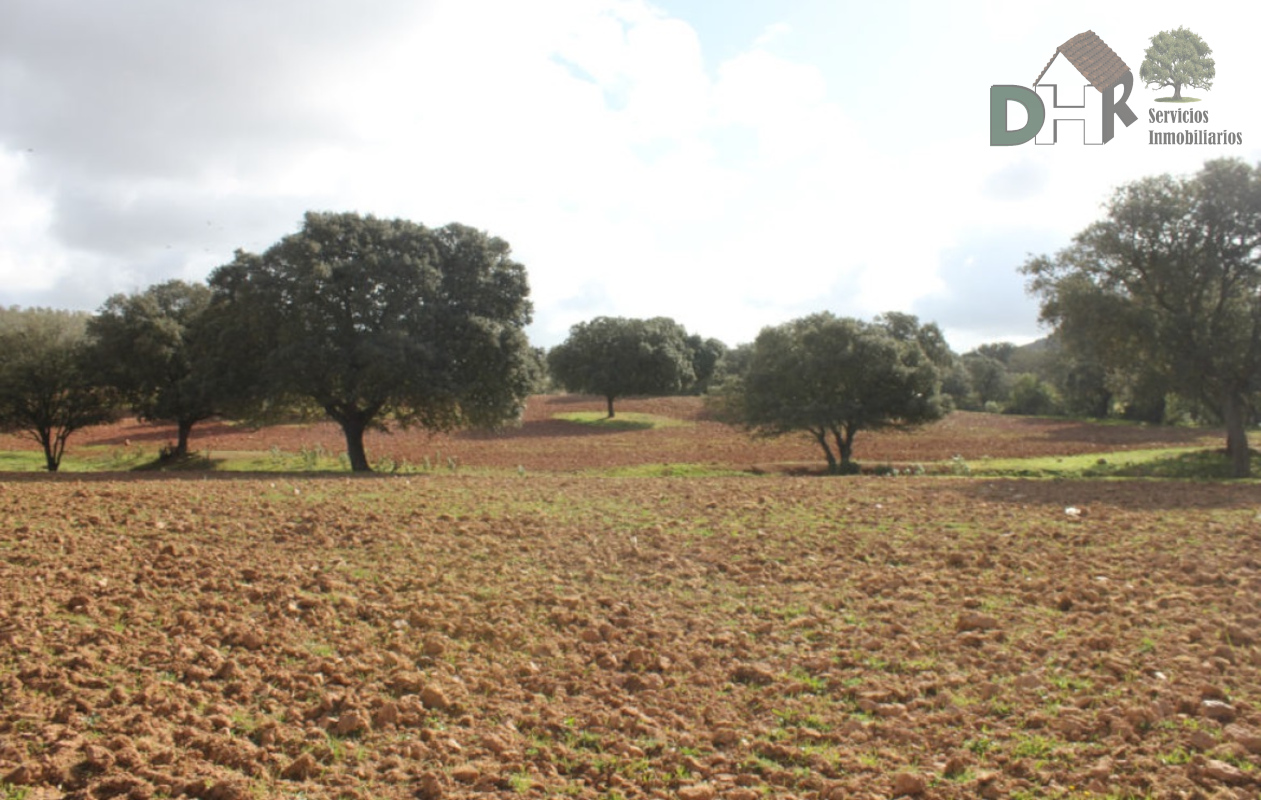 For sale of land in Badajoz