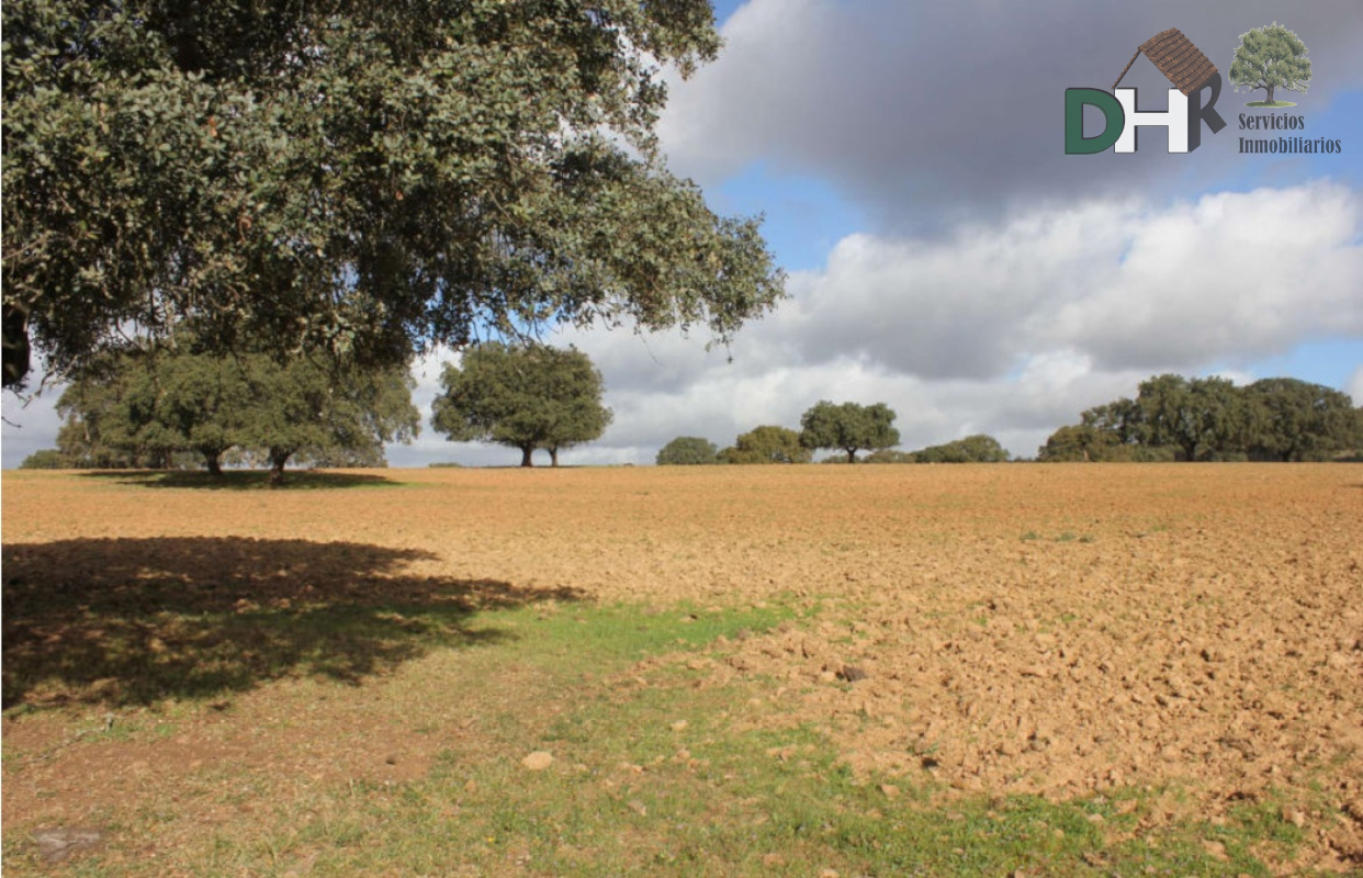 For sale of land in Badajoz