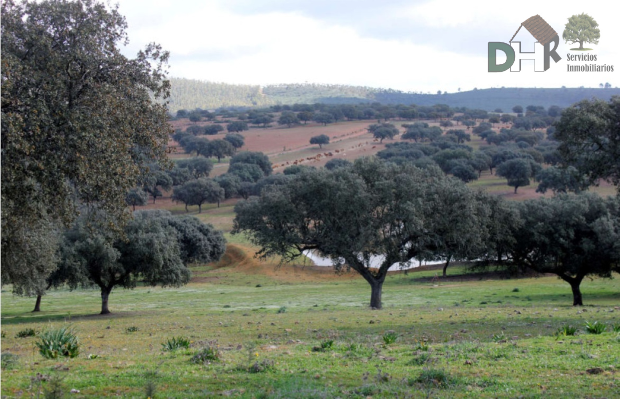 For sale of land in Badajoz