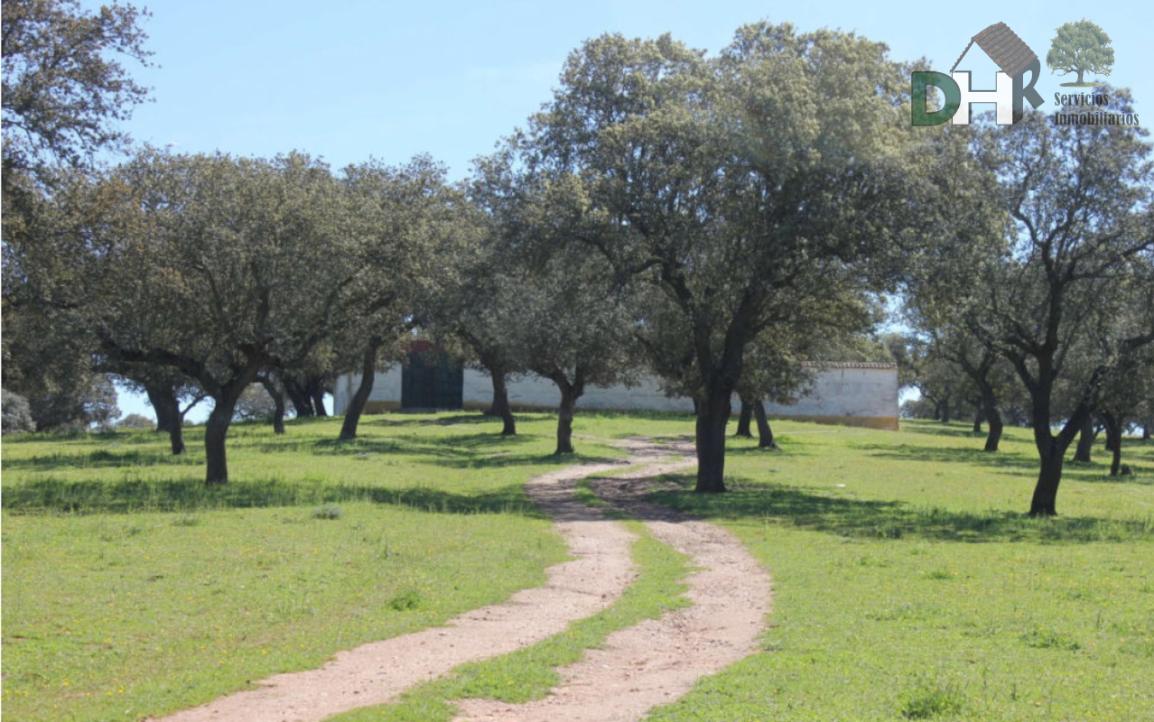 Venta de terreno en Badajoz