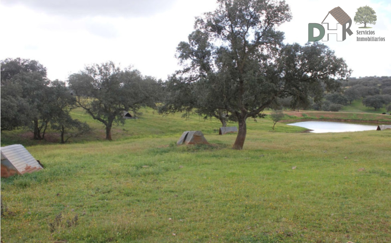 For sale of land in Badajoz