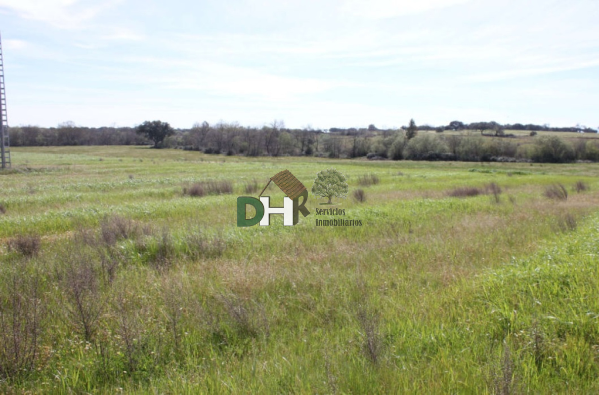 Venta de terreno en Cáceres