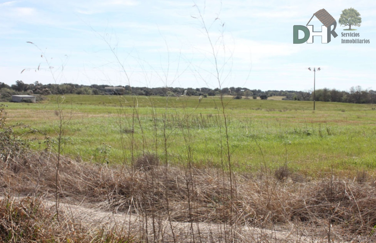 For sale of land in Cáceres