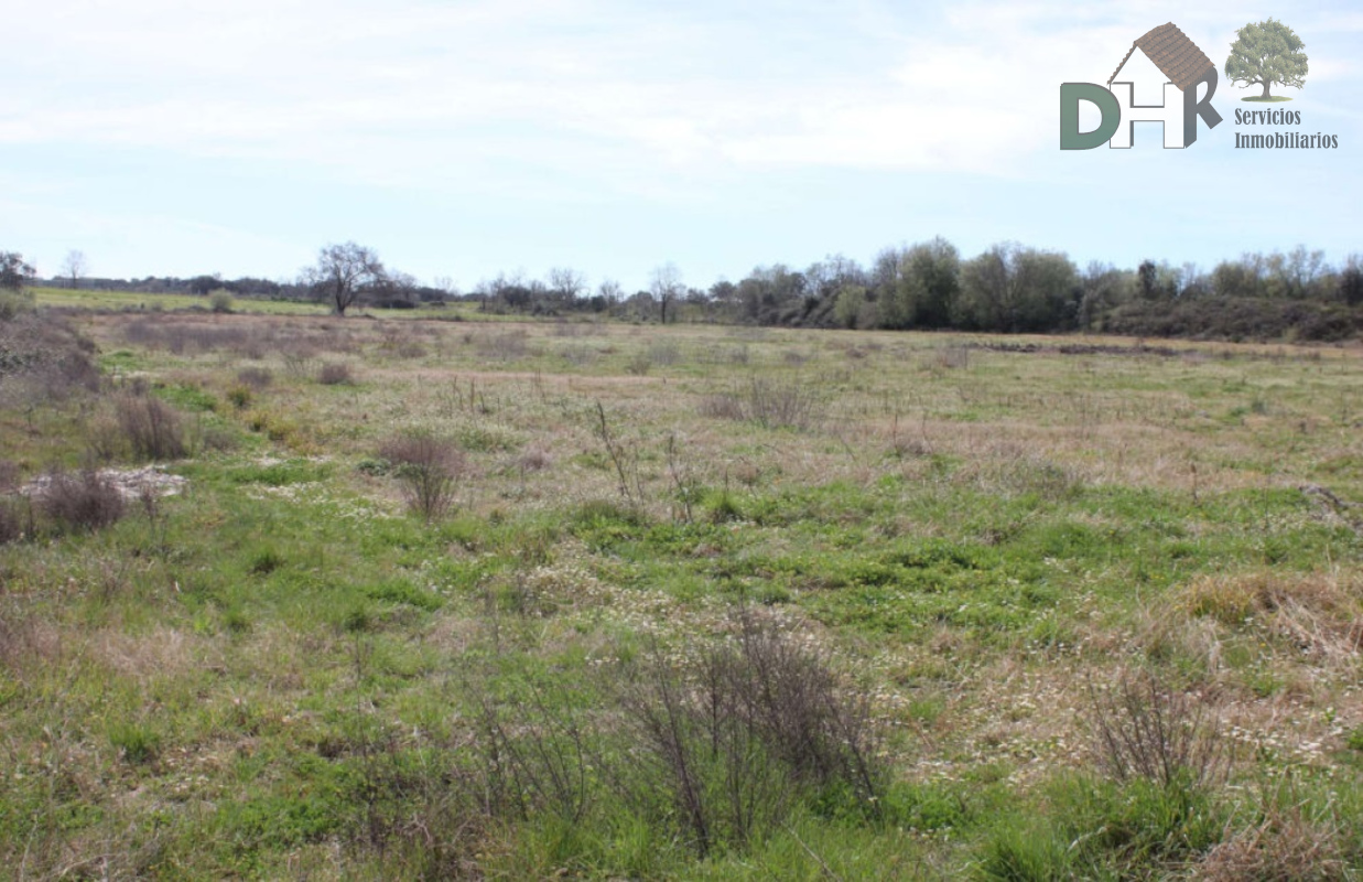 Venta de terreno en Cáceres