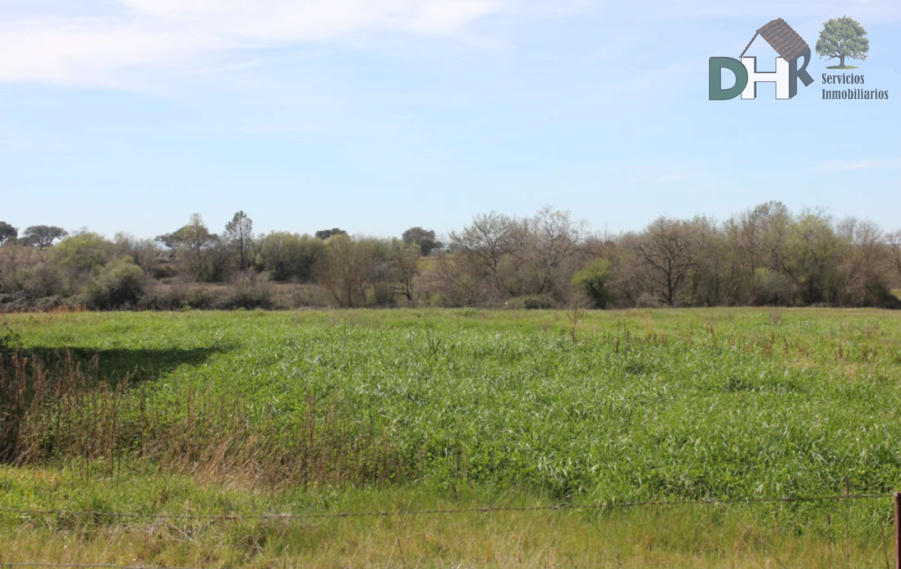 Venta de terreno en Cáceres