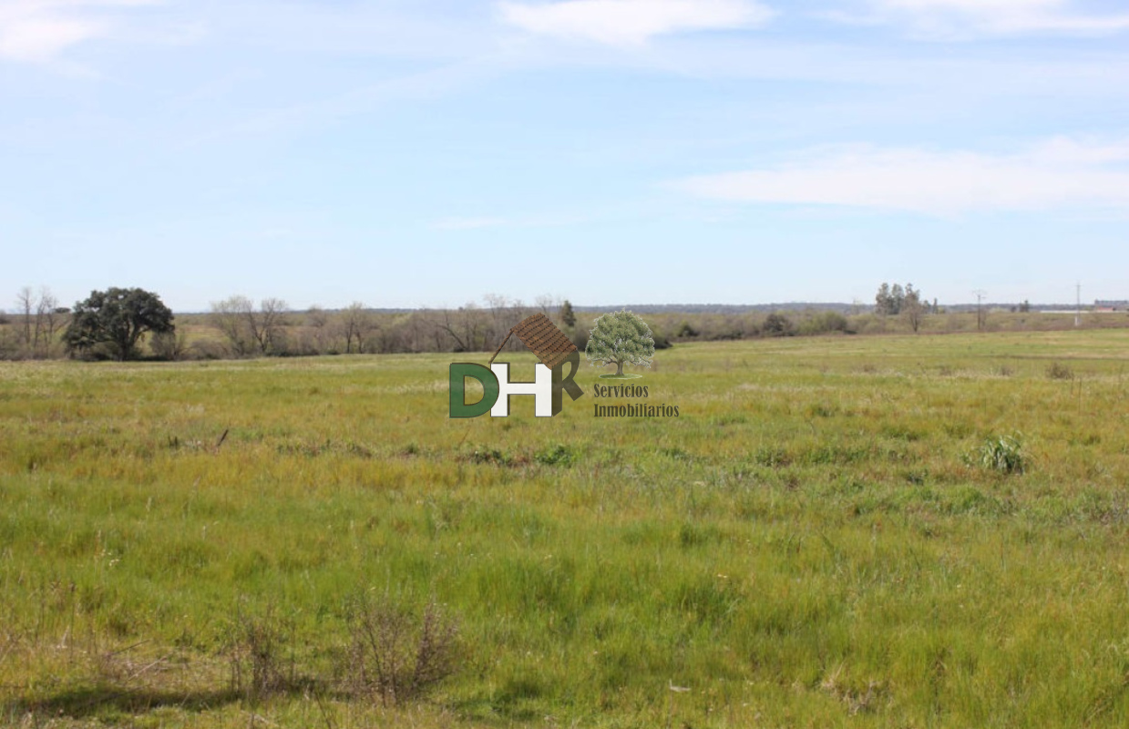 For sale of land in Cáceres