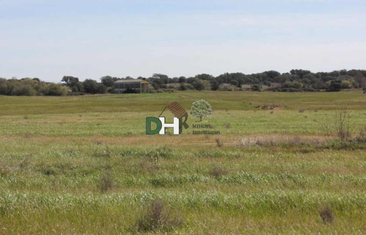 For sale of land in Cáceres