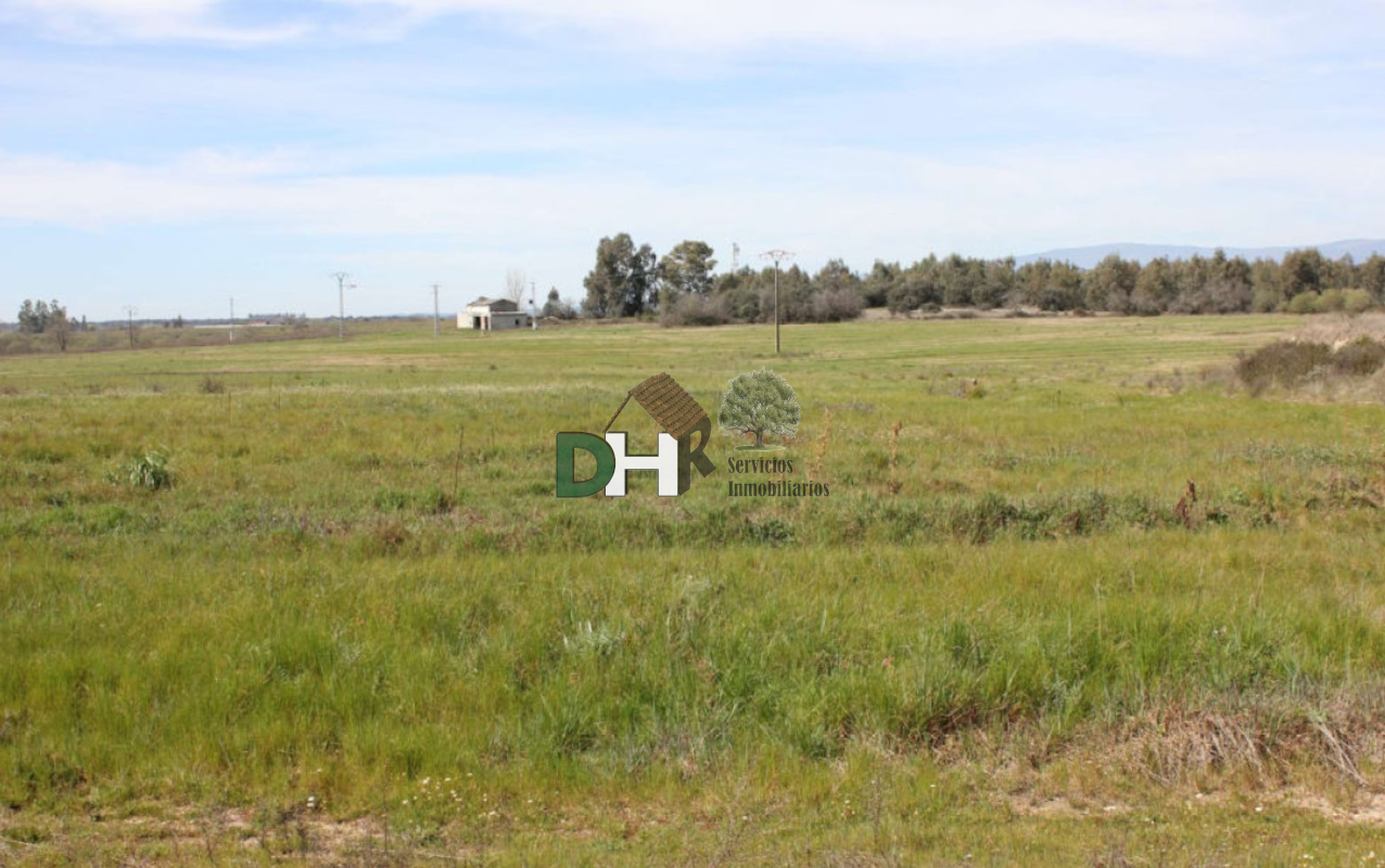 Venta de terreno en Cáceres