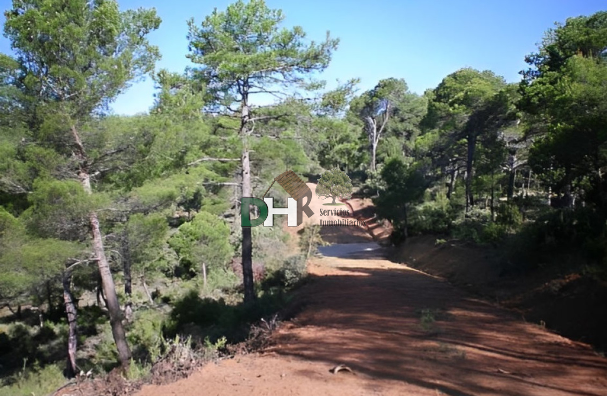 For sale of land in Cuenca