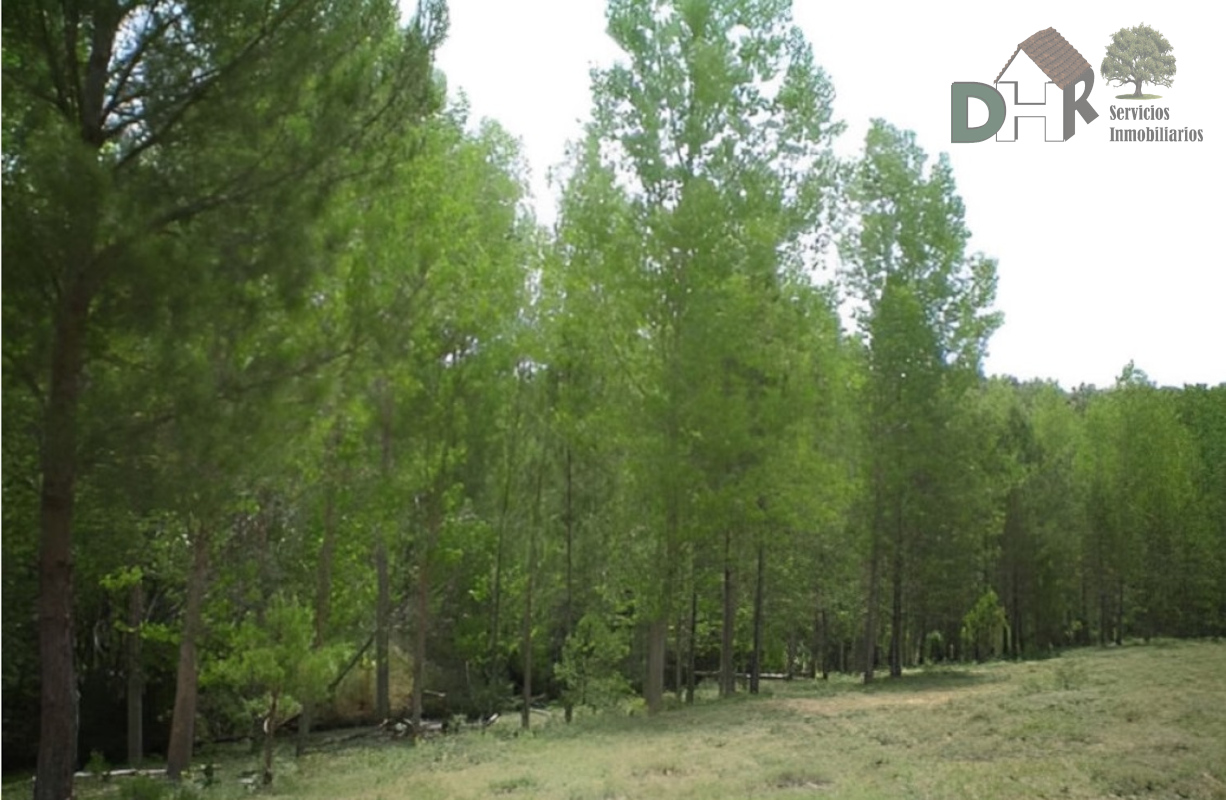 For sale of land in Cuenca