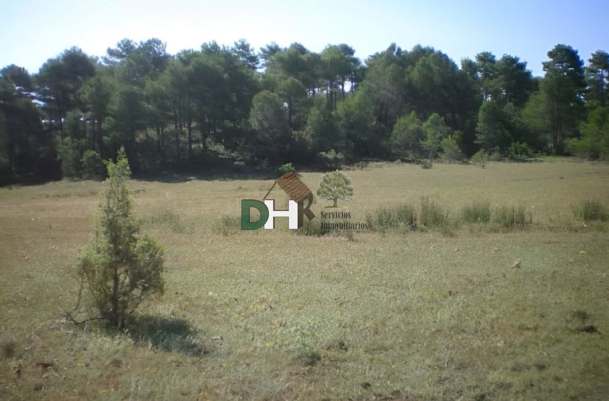 For sale of land in Cuenca