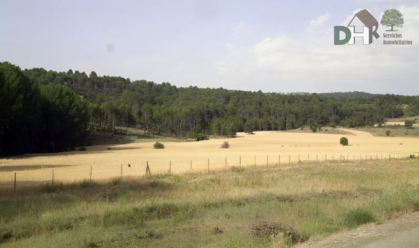 For sale of land in Cuenca