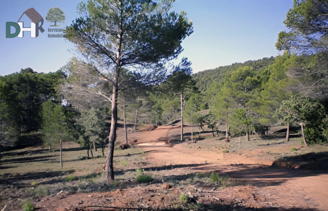 For sale of land in Cuenca