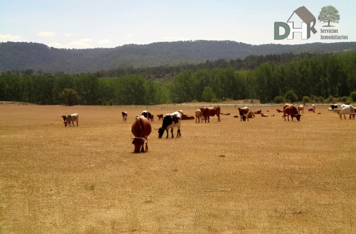 For sale of land in Cuenca