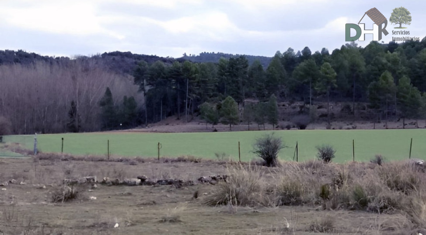 For sale of land in Cuenca