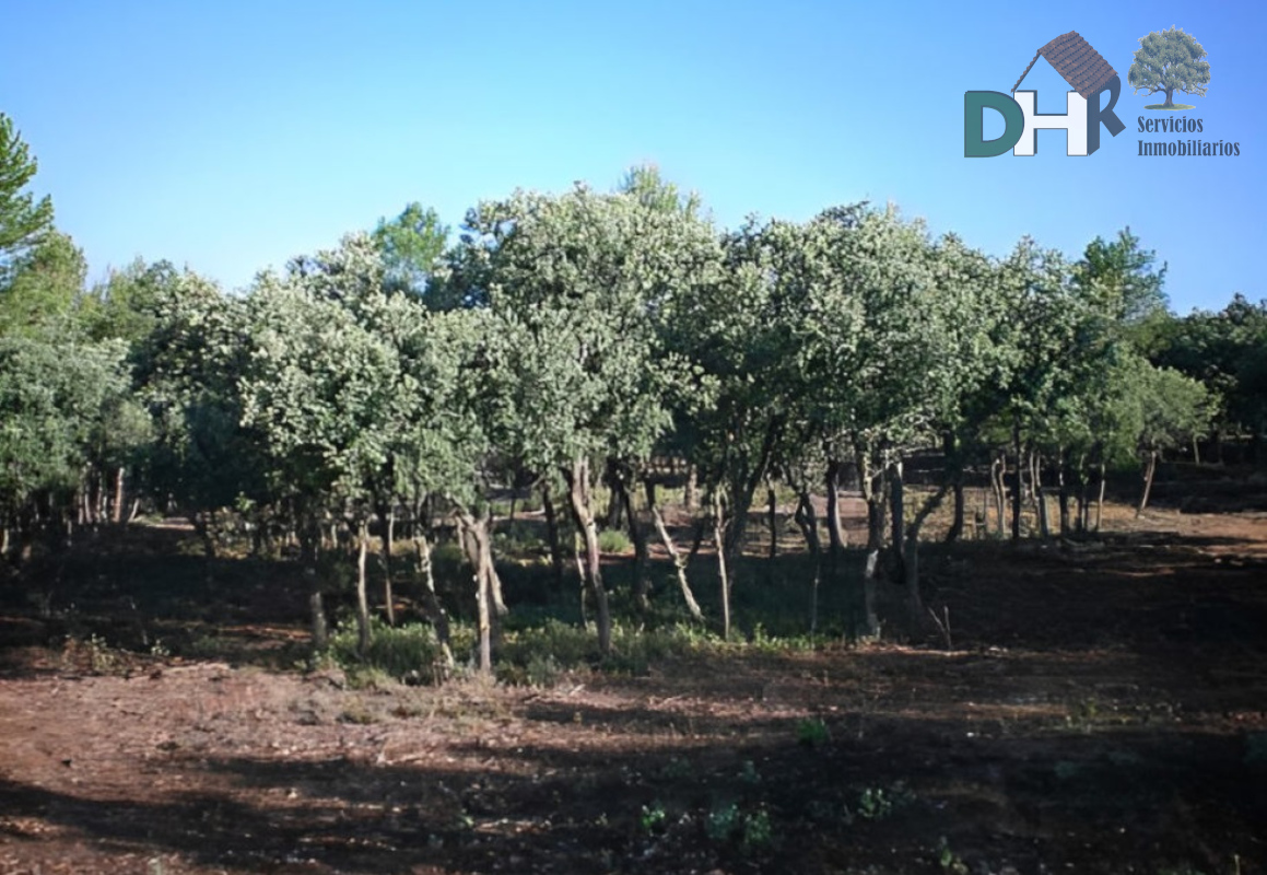 For sale of land in Cuenca