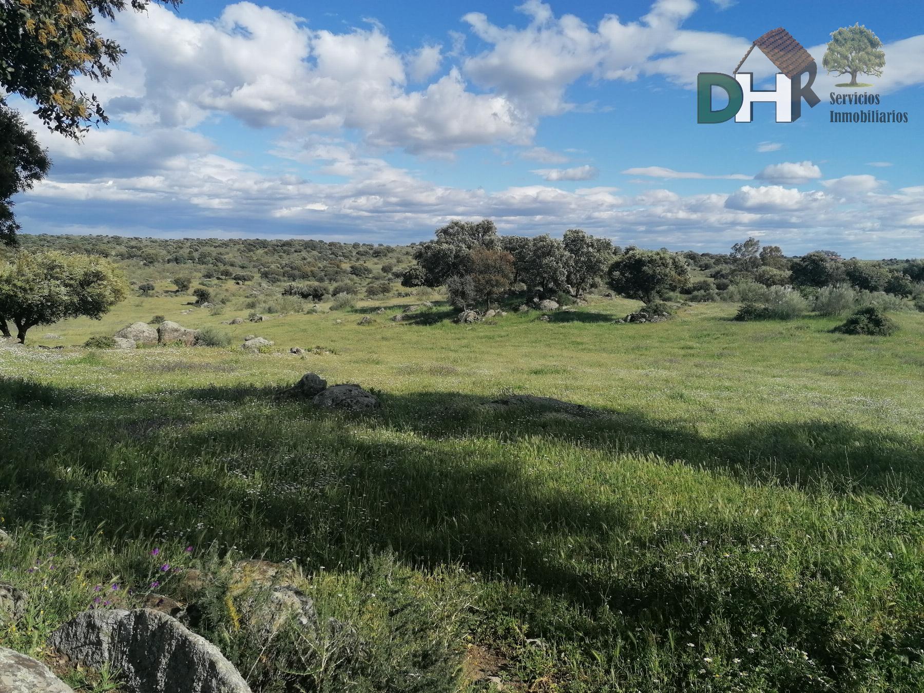 For sale of land in Cáceres