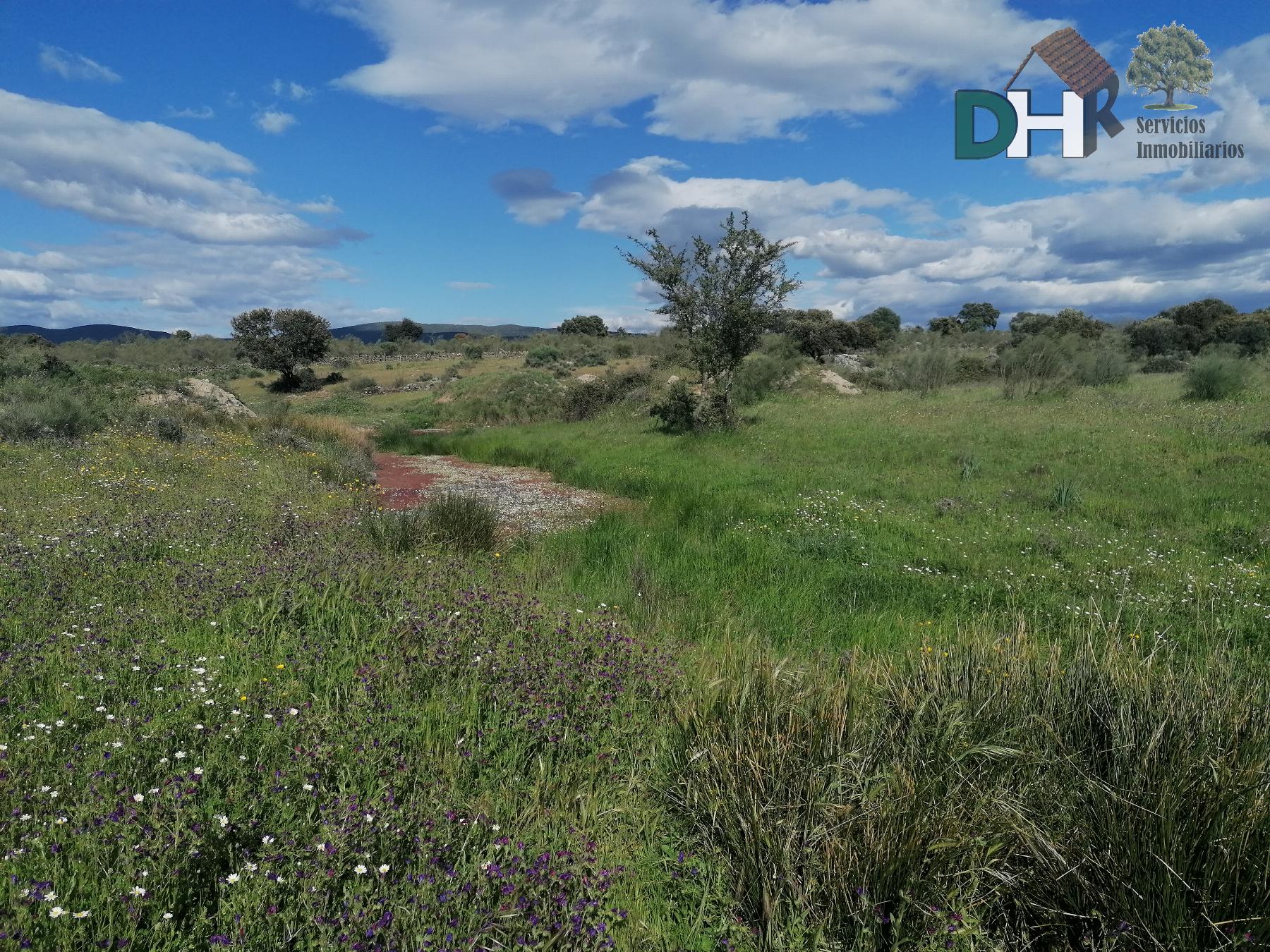 For sale of land in Cáceres
