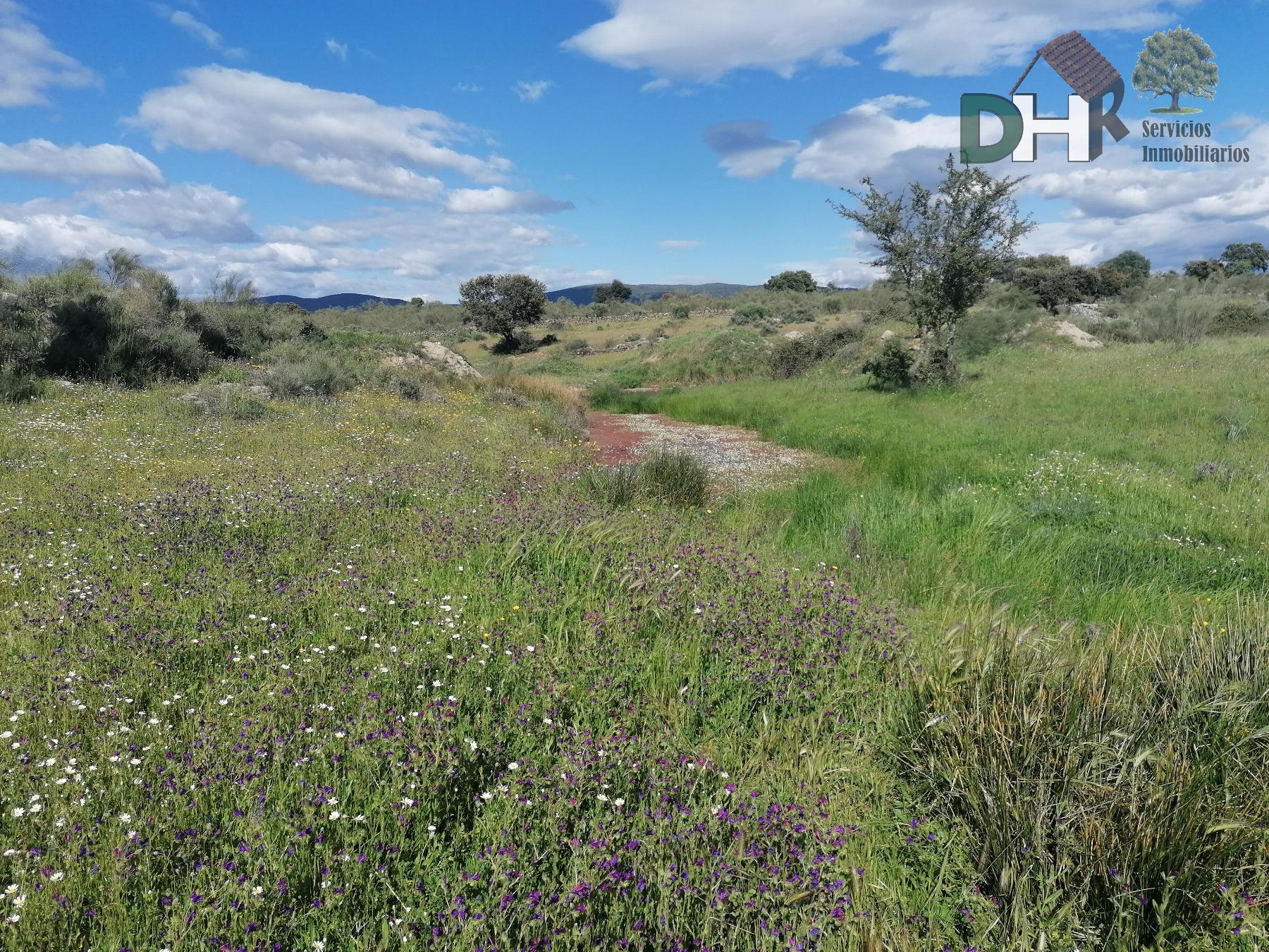 For sale of land in Cáceres