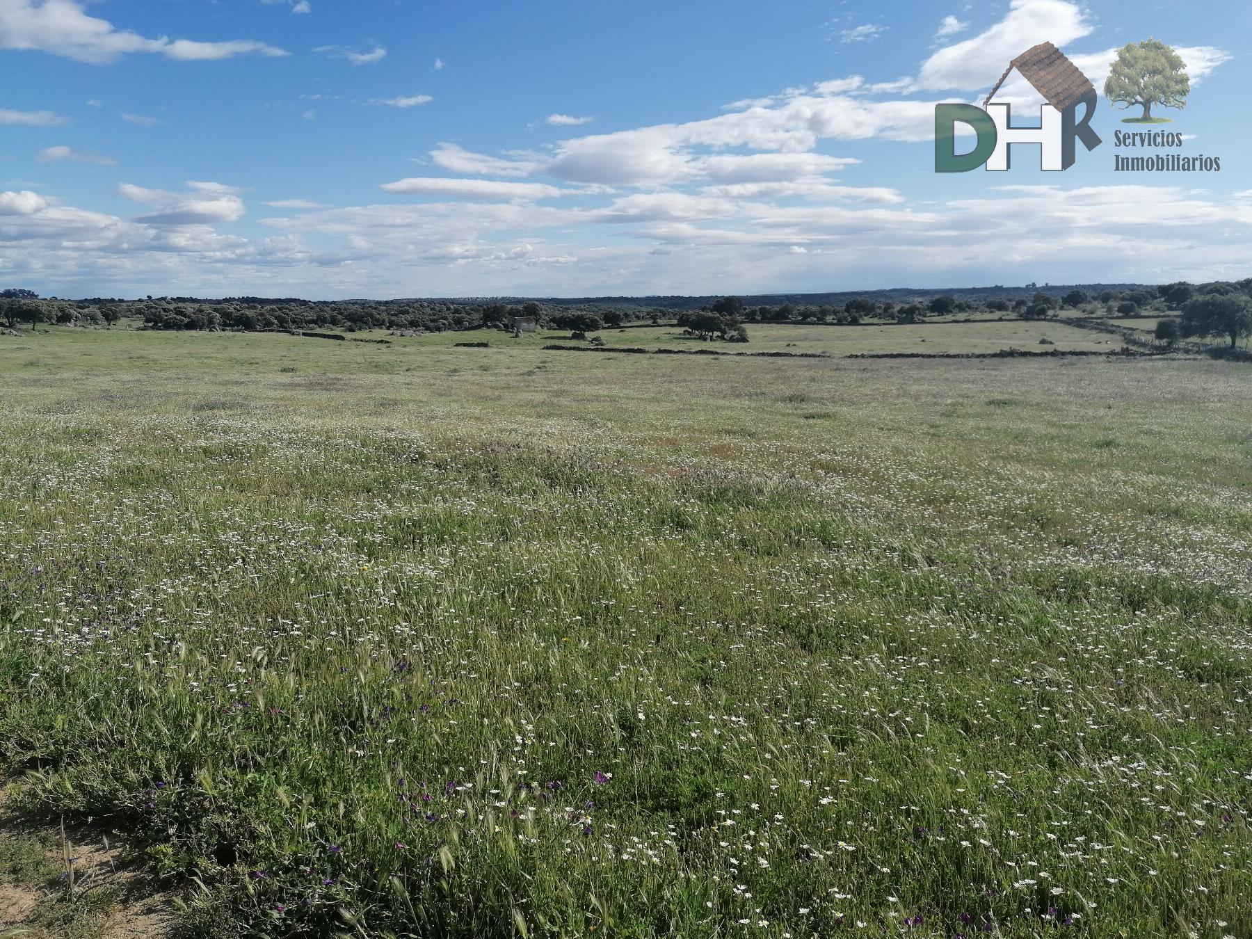 For sale of land in Cáceres