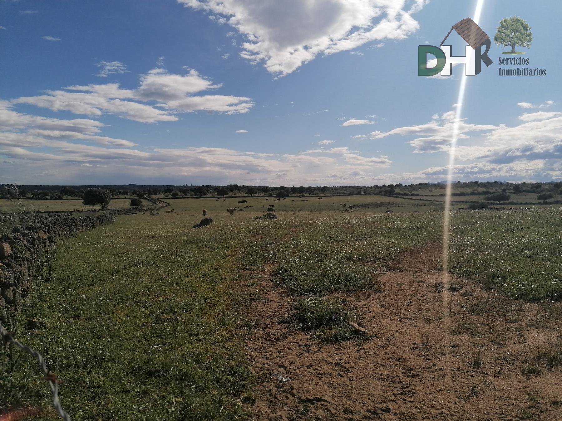 For sale of land in Cáceres