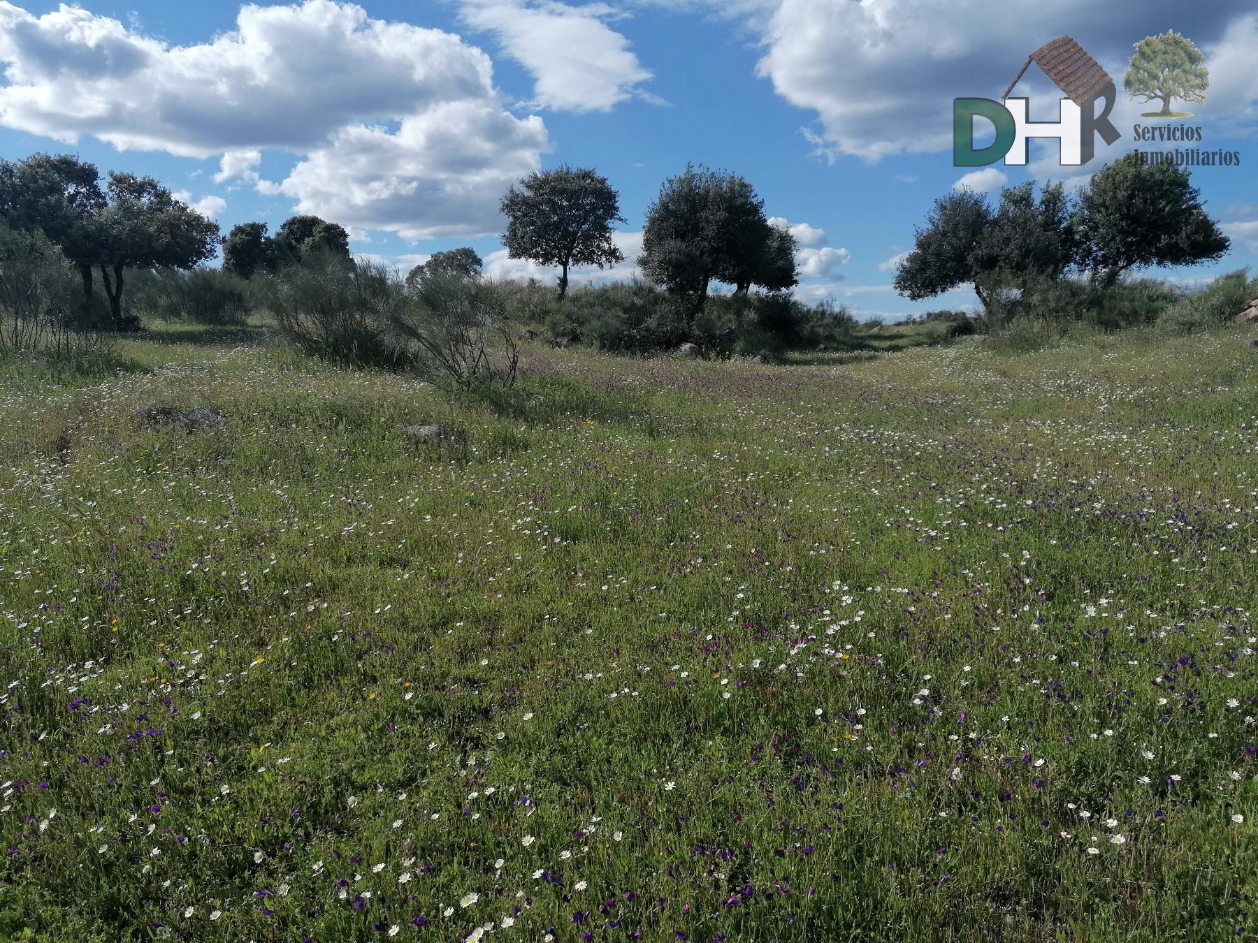 For sale of land in Cáceres