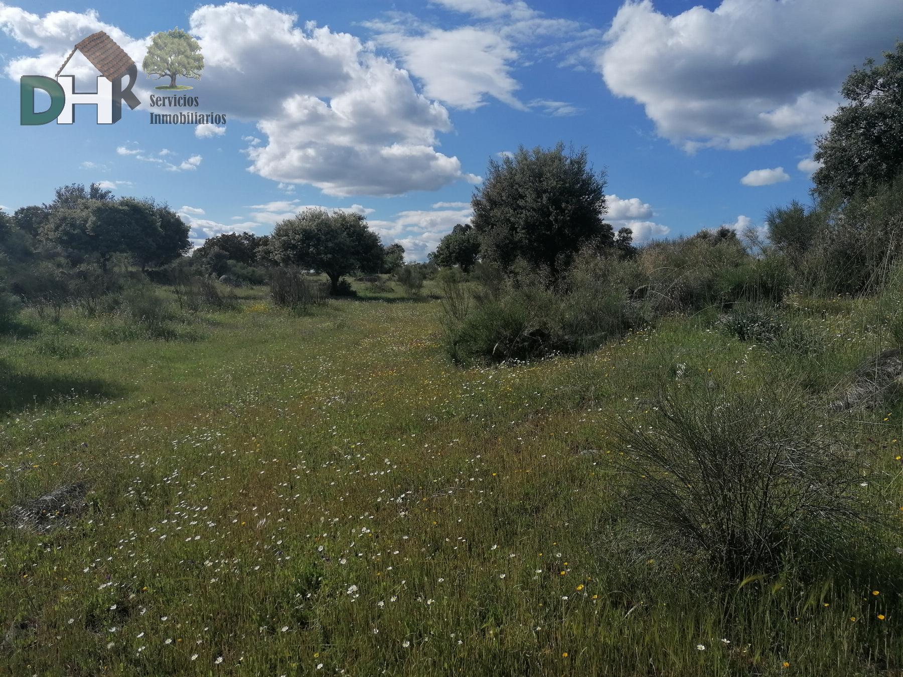For sale of land in Cáceres