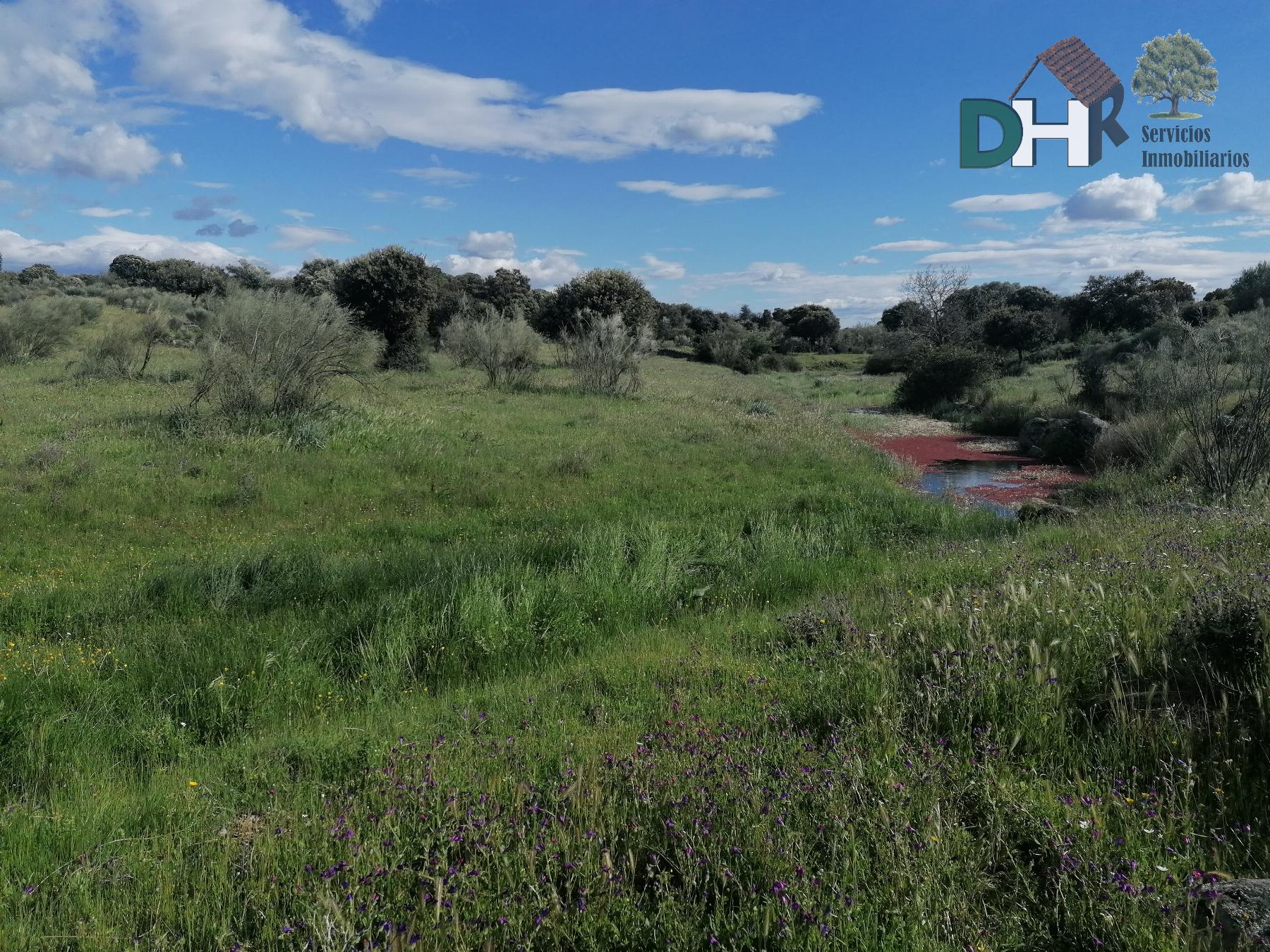 For sale of land in Cáceres