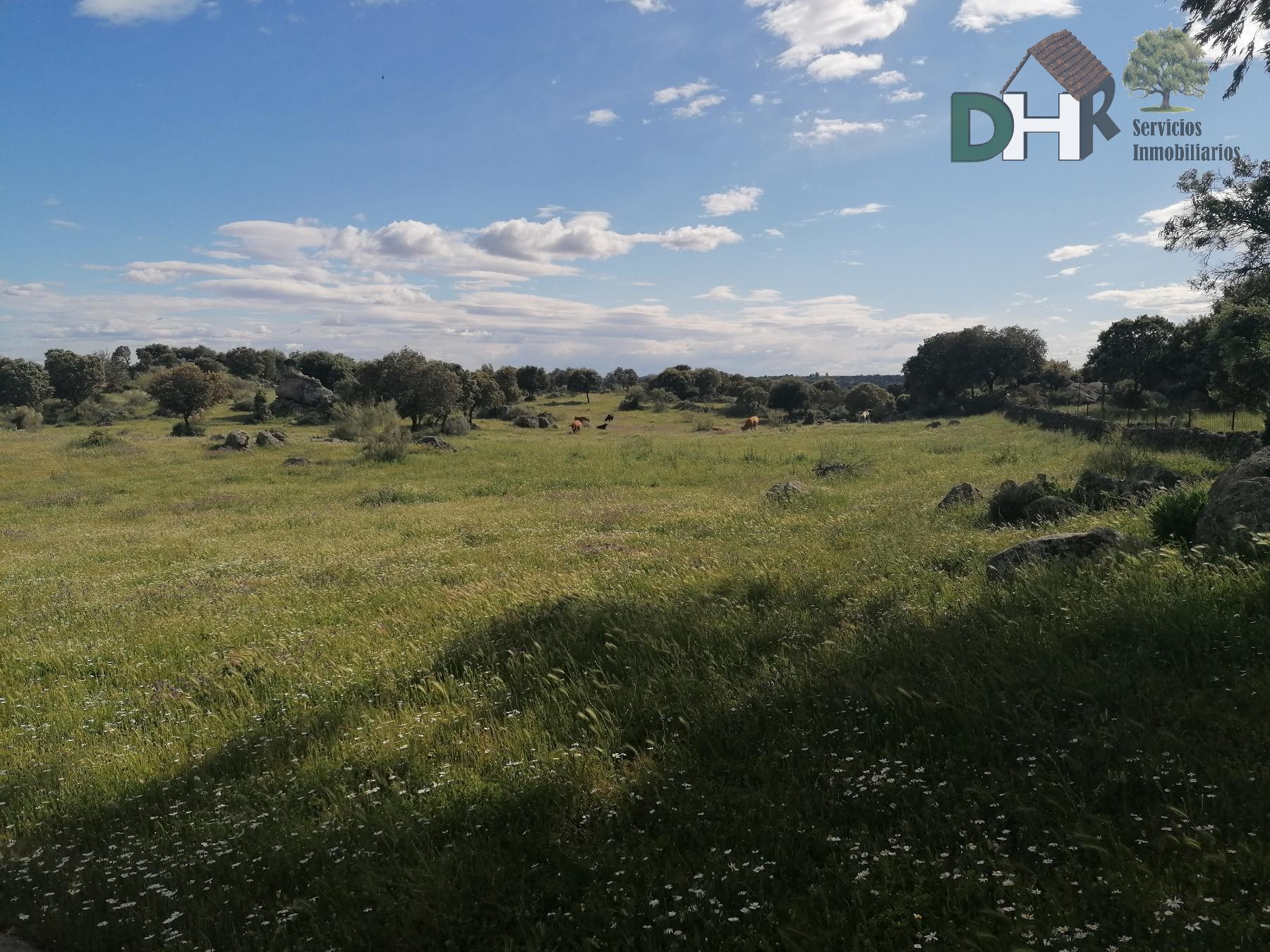 For sale of land in Cáceres
