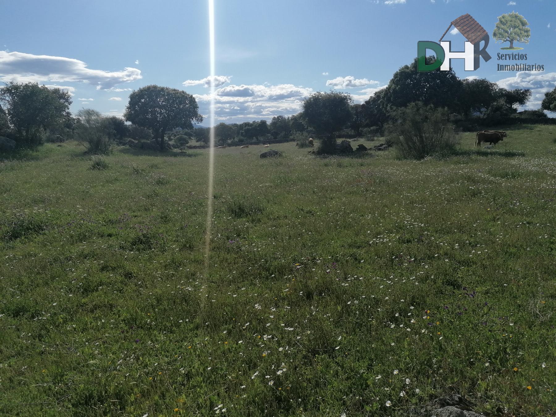 For sale of land in Cáceres