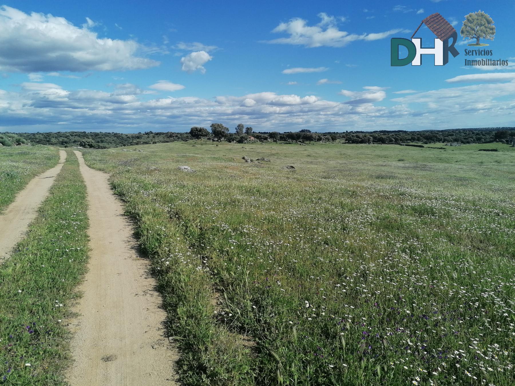 For sale of land in Cáceres