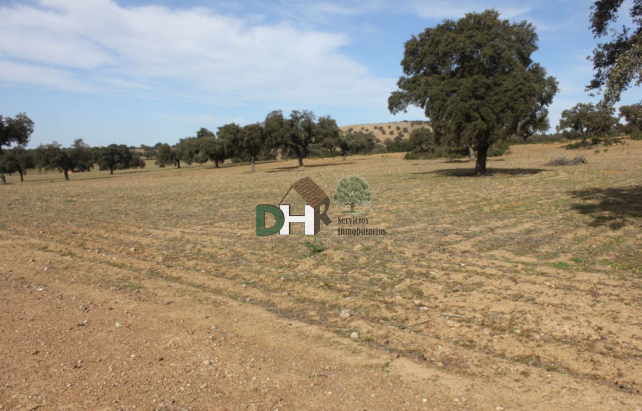 For sale of land in Badajoz