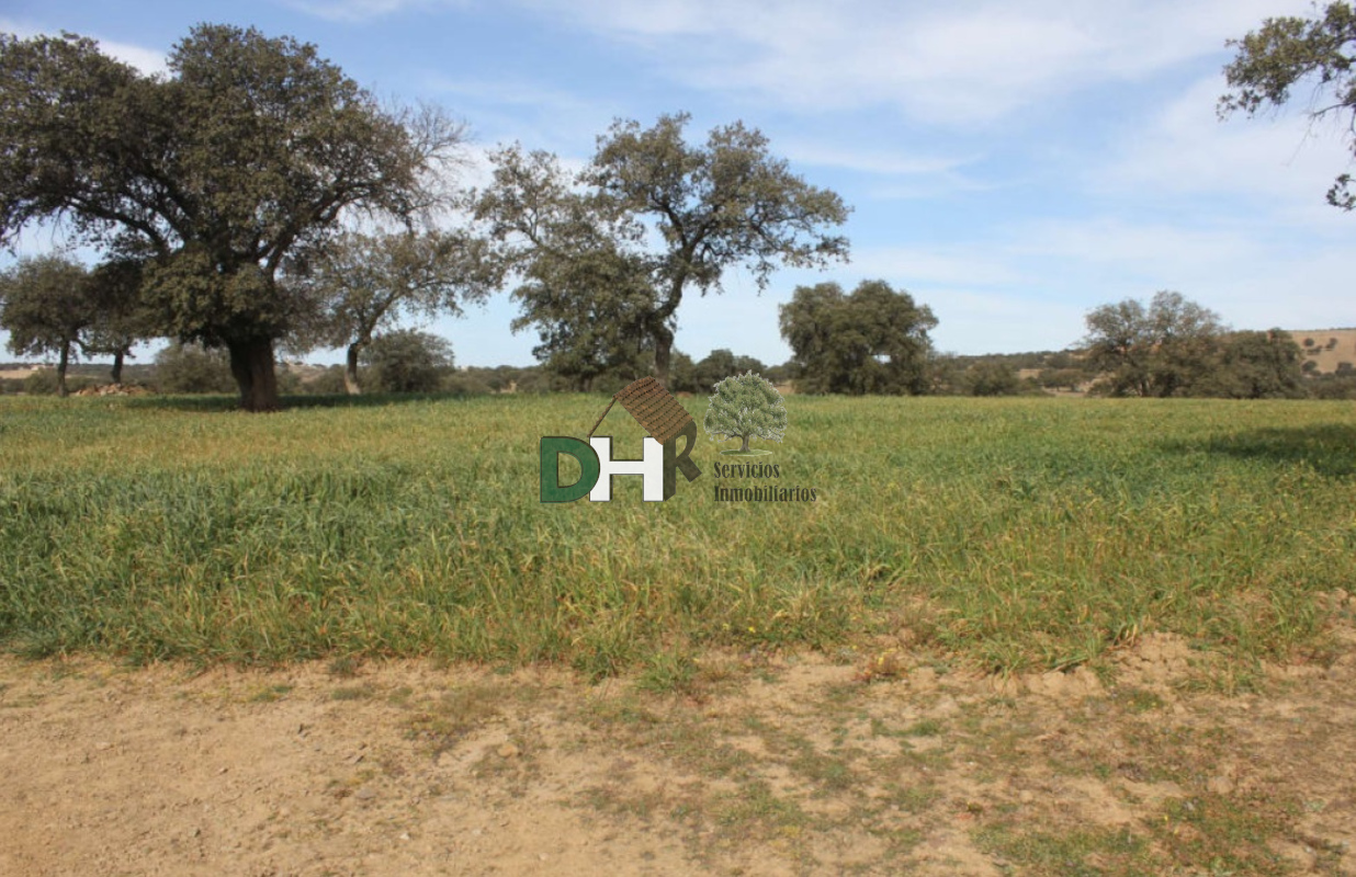 For sale of land in Badajoz