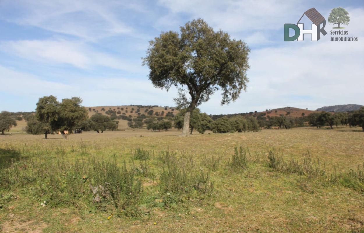 For sale of land in Badajoz