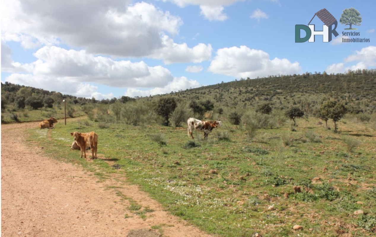 For sale of land in Mérida