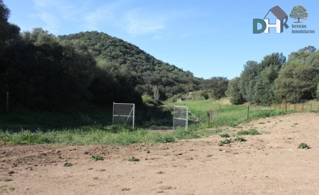 For sale of land in Sevilla