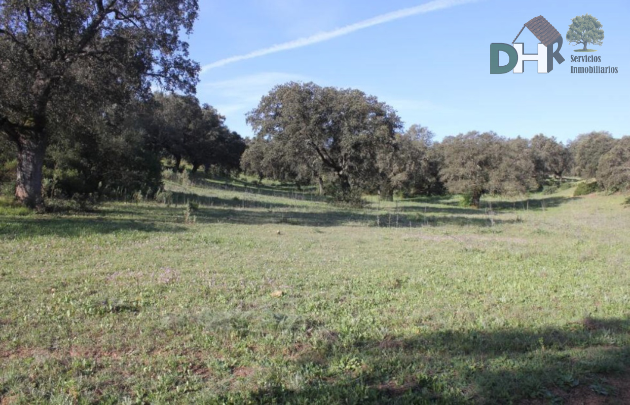 For sale of land in Sevilla