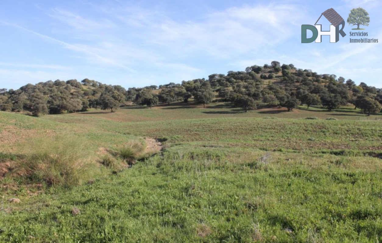 For sale of land in Sevilla