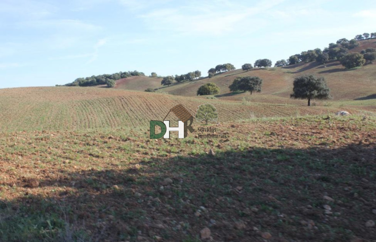 For sale of land in Sevilla