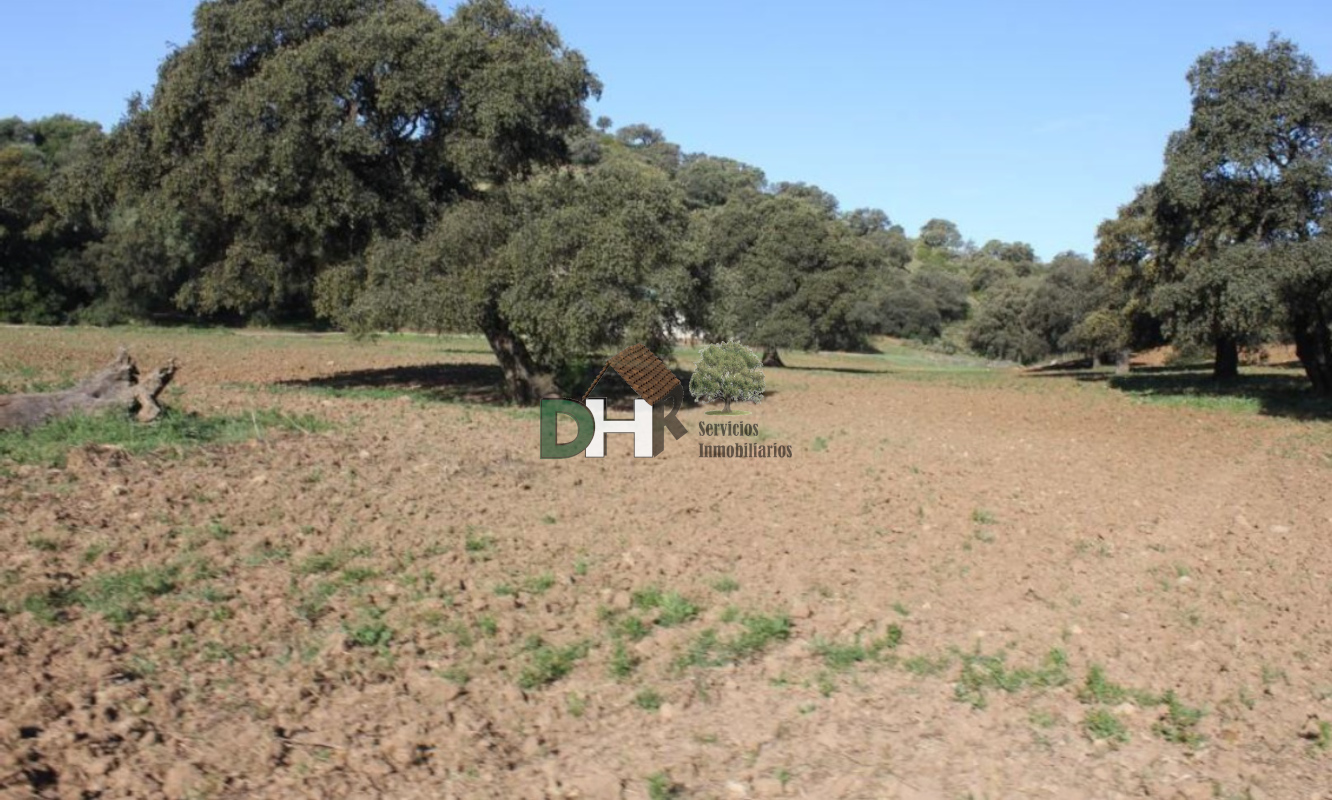 For sale of land in Sevilla