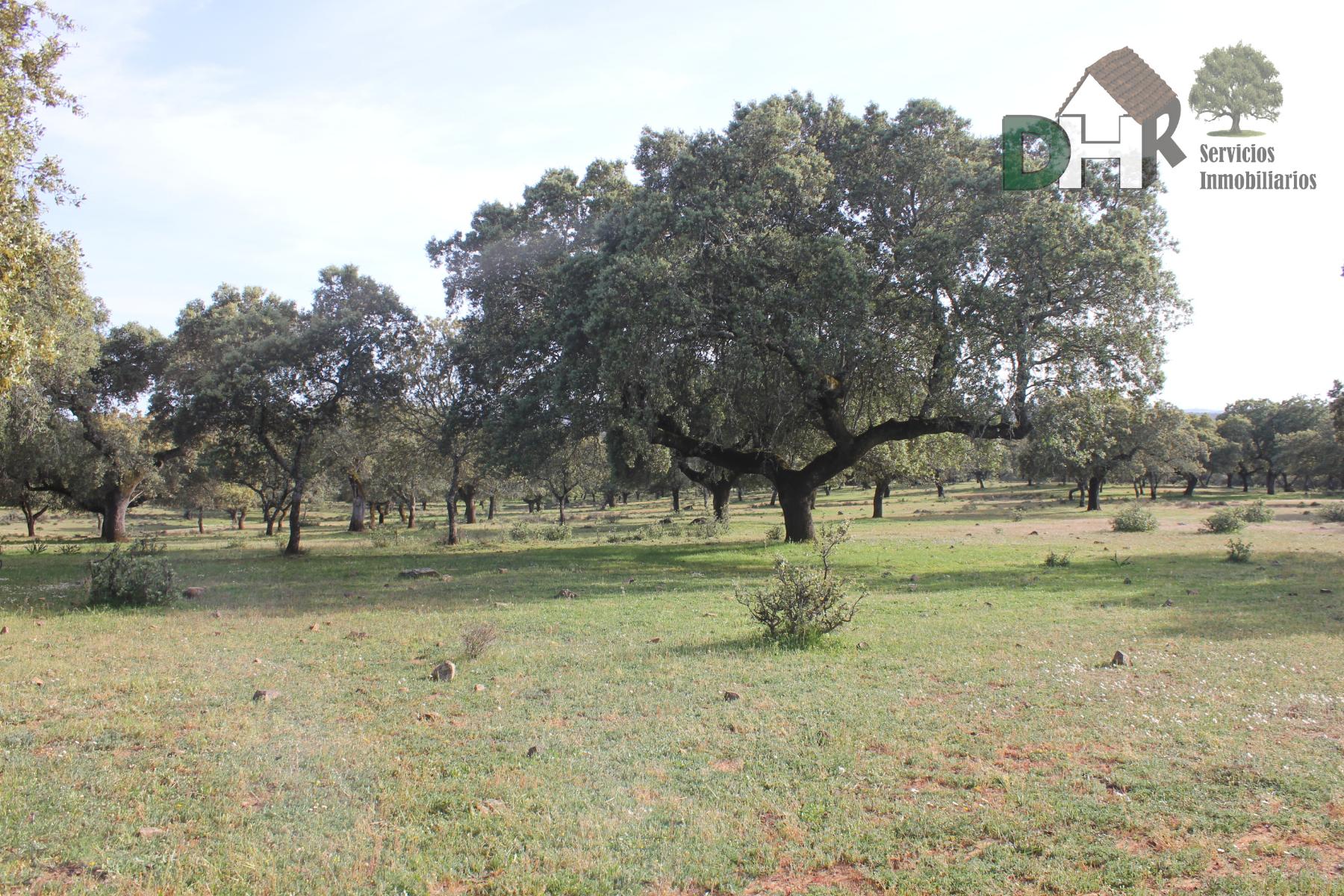 Venta de terreno en Badajoz